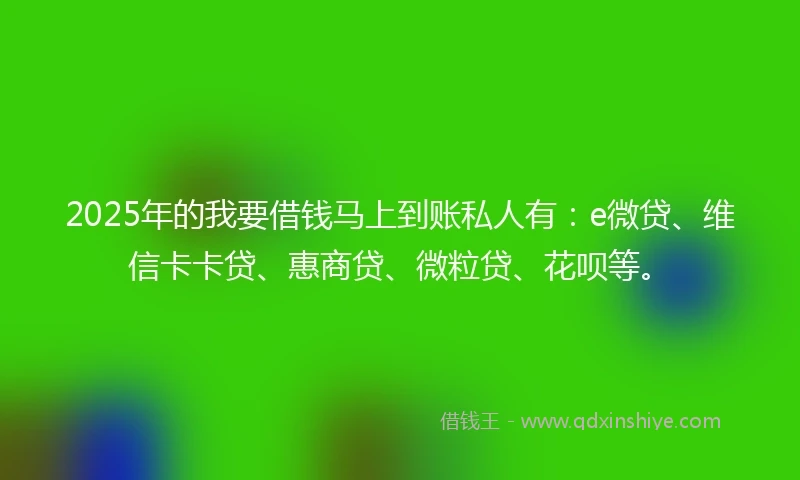 2025年的我要借钱马上到账私人有：e微贷、维信卡卡贷、惠商贷、微粒贷、花呗等。