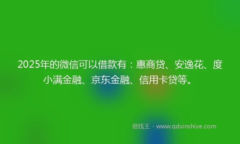 2025年的微信可以借款有：惠商贷、安逸花、度小满金融、京东金融、信用卡贷等。
