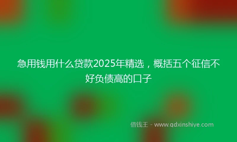 急用钱用什么贷款2025年精选，概括五个征信不好负债高的口子