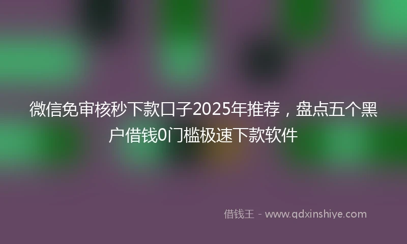 微信免审核秒下款口子2025年推荐，盘点五个黑户借钱0门槛极速下款软件