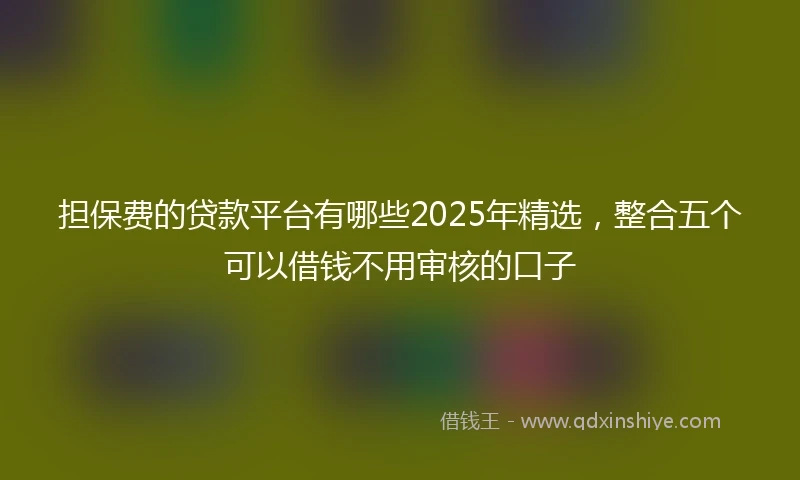担保费的贷款平台有哪些2025年精选，整合五个可以借钱不用审核的口子