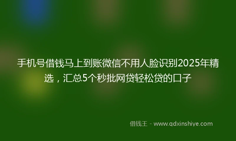 手机号借钱马上到账微信不用人脸识别2025年精选，汇总5个秒批网贷轻松贷的口子