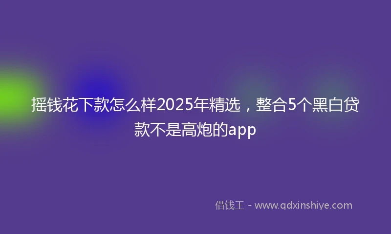 摇钱花下款怎么样2025年精选，整合5个黑白贷款不是高炮的app