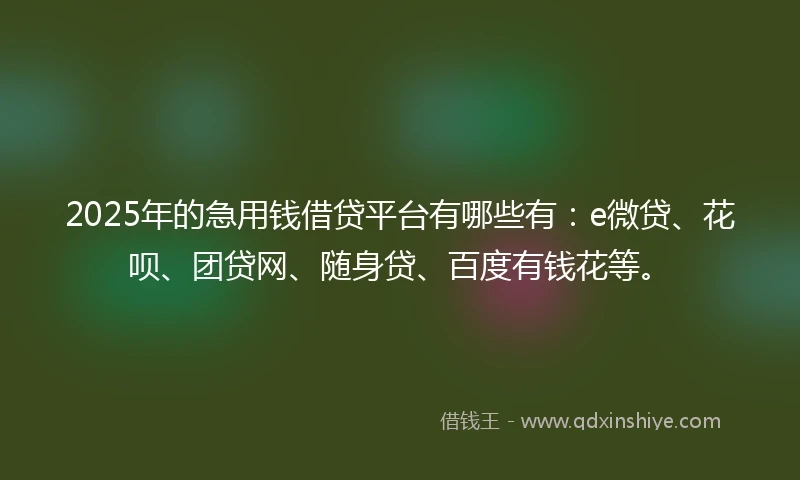 2025年的急用钱借贷平台有哪些有：e微贷、花呗、团贷网、随身贷、百度有钱花等。