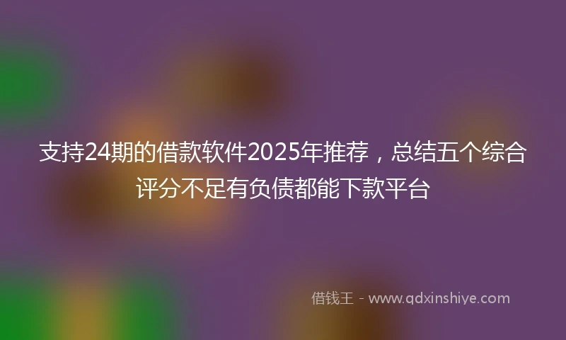 支持24期的借款软件2025年推荐，总结五个综合评分不足有负债都能下款平台