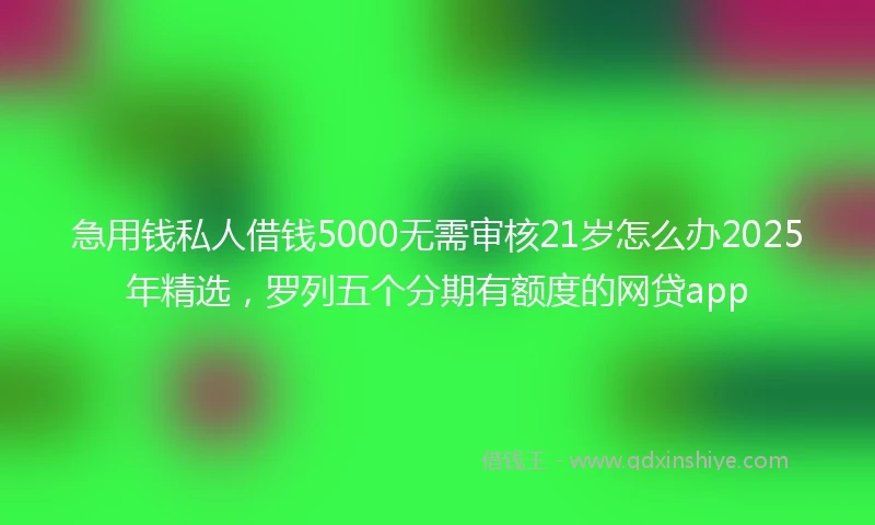 急用钱私人借钱5000无需审核21岁怎么办2025年精选，罗列五个分期有额度的网贷app