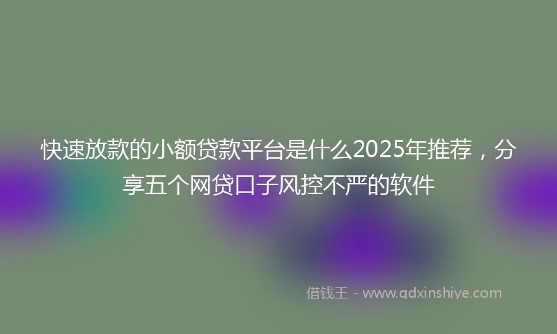 快速放款的小额贷款平台是什么2025年推荐，分享五个网贷口子风控不严的软件