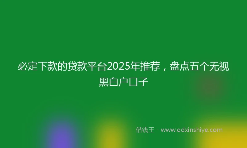 必定下款的贷款平台2025年推荐，盘点五个无视黑白户口子