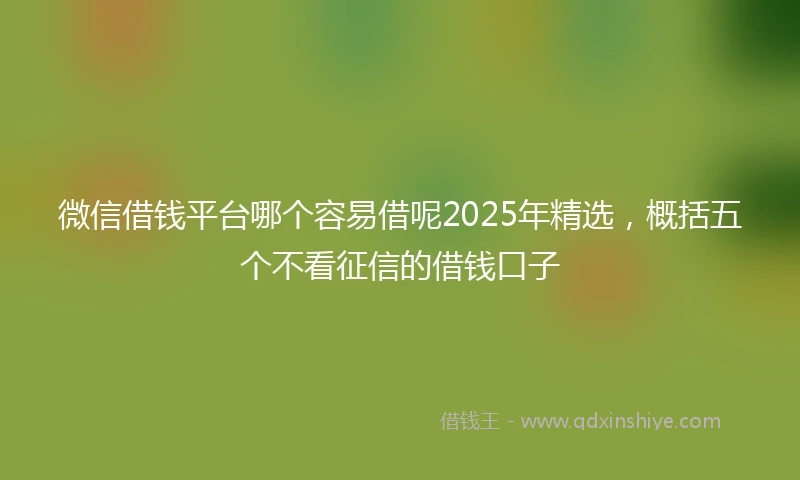 微信借钱平台哪个容易借呢2025年精选，概括五个不看征信的借钱口子