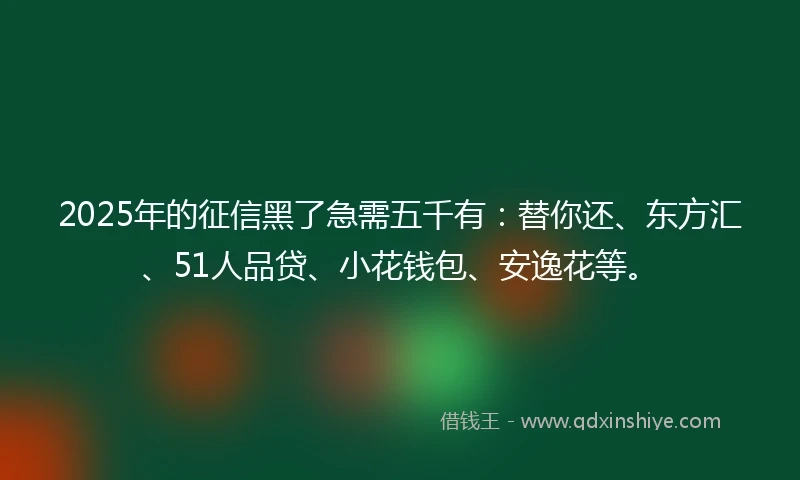 2025年的征信黑了急需五千有：替你还、东方汇、51人品贷、小花钱包、安逸花等。