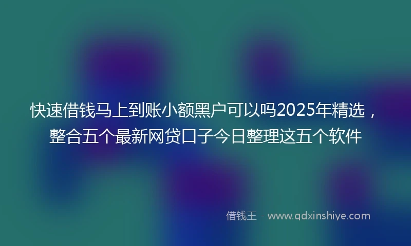快速借钱马上到账小额黑户可以吗2025年精选，整合五个最新网贷口子今日整理这五个软件