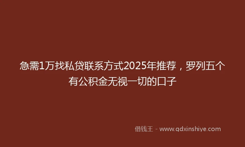 急需1万找私贷联系方式2025年推荐，罗列五个有公积金无视一切的口子