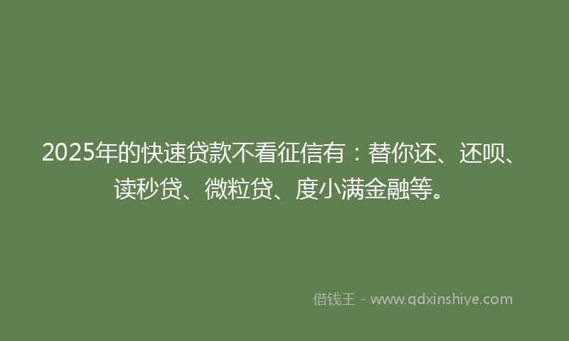 2025年的快速贷款不看征信有：替你还、还呗、读秒贷、微粒贷、度小满金融等。