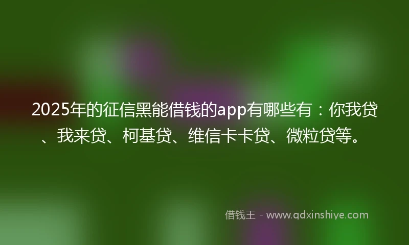 2025年的征信黑能借钱的app有哪些有：你我贷、我来贷、柯基贷、维信卡卡贷、微粒贷等。