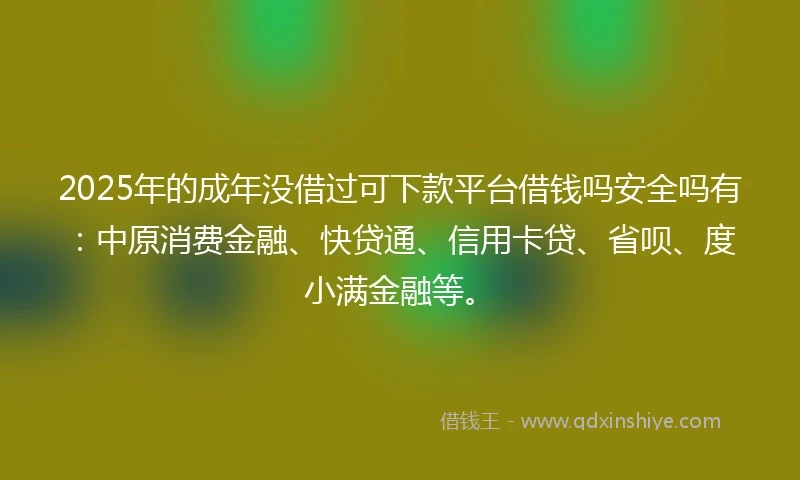 2025年的成年没借过可下款平台借钱吗安全吗有：中原消费金融、快贷通、信用卡贷、省呗、度小满金融等。