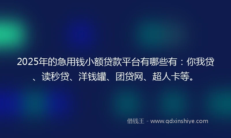 2025年的急用钱小额贷款平台有哪些有：你我贷、读秒贷、洋钱罐、团贷网、超人卡等。
