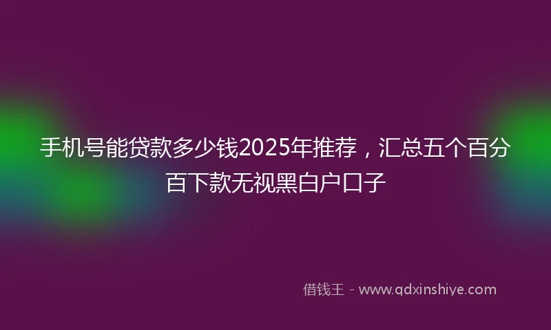 手机号能贷款多少钱2025年推荐，汇总五个百分百下款无视黑白户口子