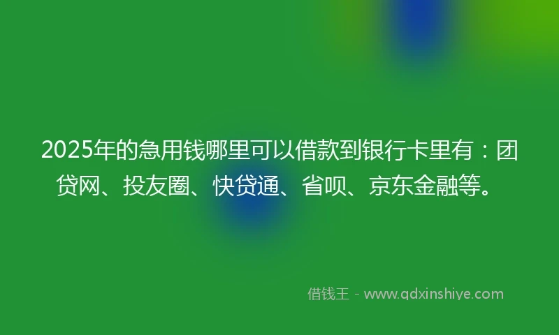 2025年的急用钱哪里可以借款到银行卡里有：团贷网、投友圈、快贷通、省呗、京东金融等。