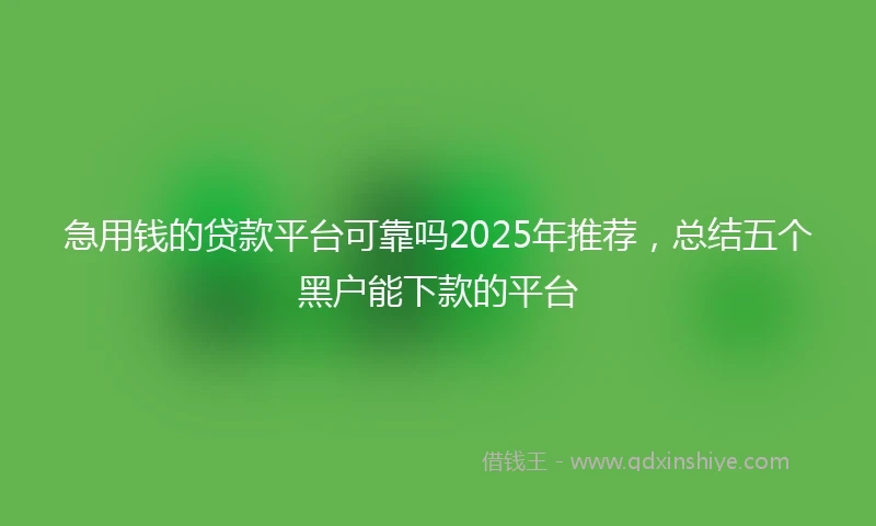 急用钱的贷款平台可靠吗2025年推荐，总结五个黑户能下款的平台