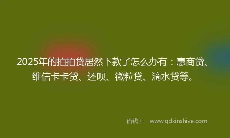 2025年的拍拍贷居然下款了怎么办有:惠商贷、维信卡卡贷、还呗、微粒贷、滴水贷等。