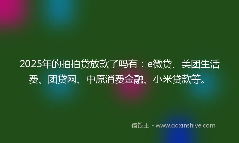 2025年的拍拍贷放款了吗有：e微贷、美团生活费、团贷网、中原消费金融、小米贷款等。