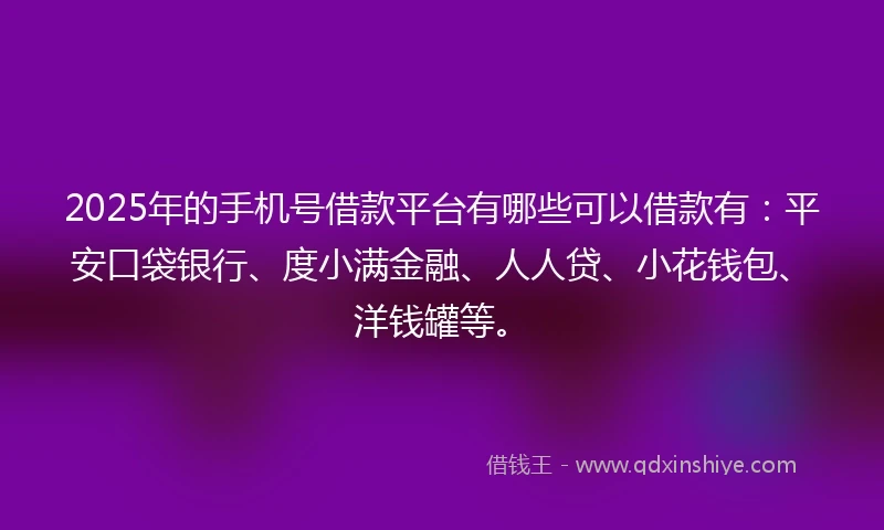 2025年的手机号借款平台有哪些可以借款有：平安口袋银行、度小满金融、人人贷、小花钱包、洋钱罐等。