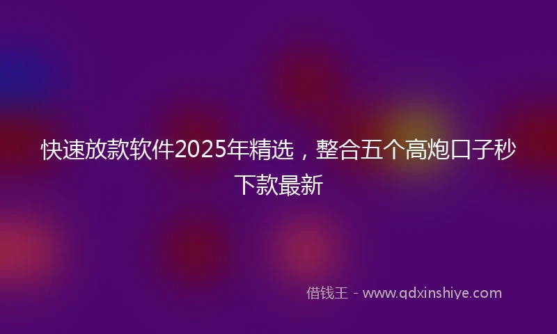 快速放款软件2025年精选，整合五个高炮口子秒下款最新