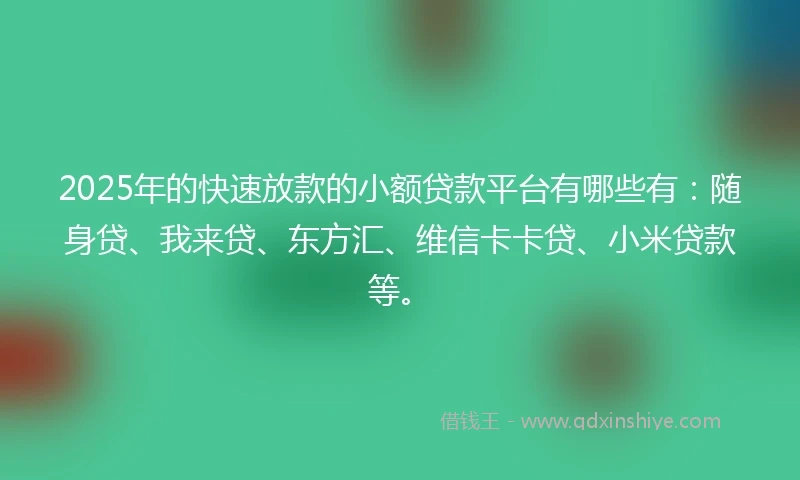 2025年的快速放款的小额贷款平台有哪些有：随身贷、我来贷、东方汇、维信卡卡贷、小米贷款等。