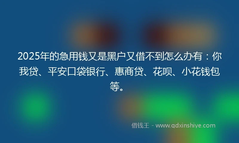2025年的急用钱又是黑户又借不到怎么办有：你我贷、平安口袋银行、惠商贷、花呗、小花钱包等。