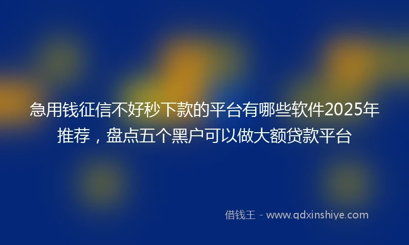 急用钱征信不好秒下款的平台有哪些软件2025年推荐，盘点五个黑户可以做大额贷款平台