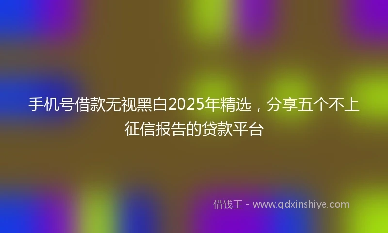 手机号借款无视黑白2025年精选，分享五个不上征信报告的贷款平台