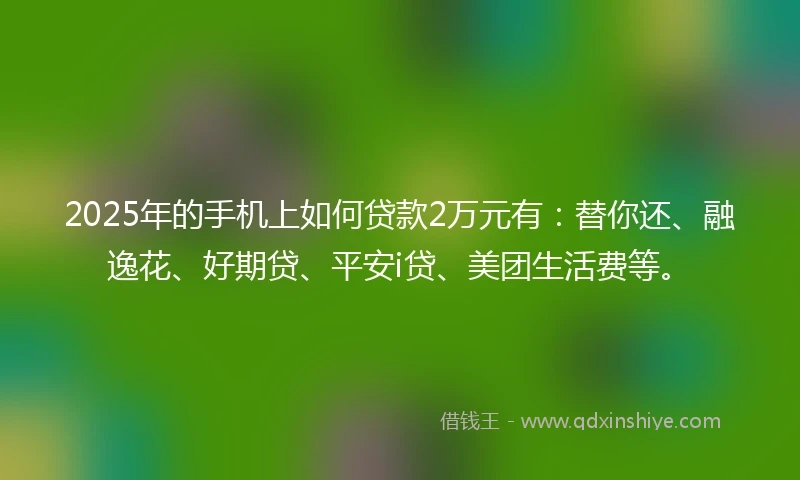 2025年的手机上如何贷款2万元有：替你还、融逸花、好期贷、平安i贷、美团生活费等。