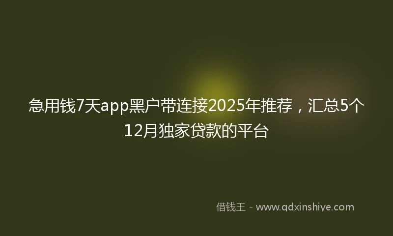 急用钱7天app黑户带连接2025年推荐，汇总5个12月独家贷款的平台