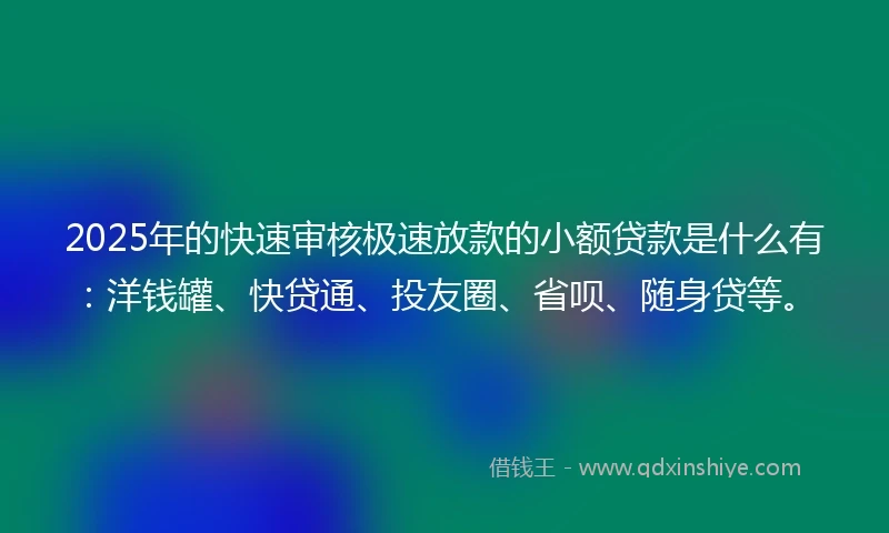 2025年的快速审核极速放款的小额贷款是什么有：洋钱罐、快贷通、投友圈、省呗、随身贷等。