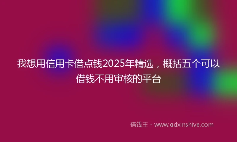我想用信用卡借点钱2025年精选，概括五个可以借钱不用审核的平台