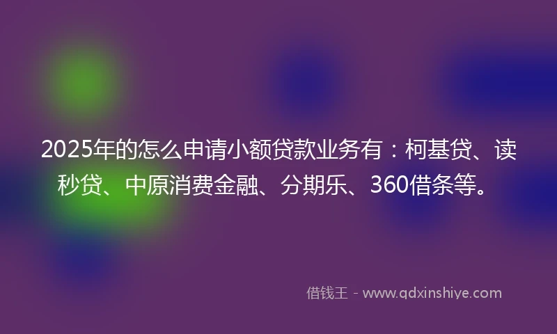 2025年的怎么申请小额贷款业务有：柯基贷、读秒贷、中原消费金融、分期乐、360借条等。