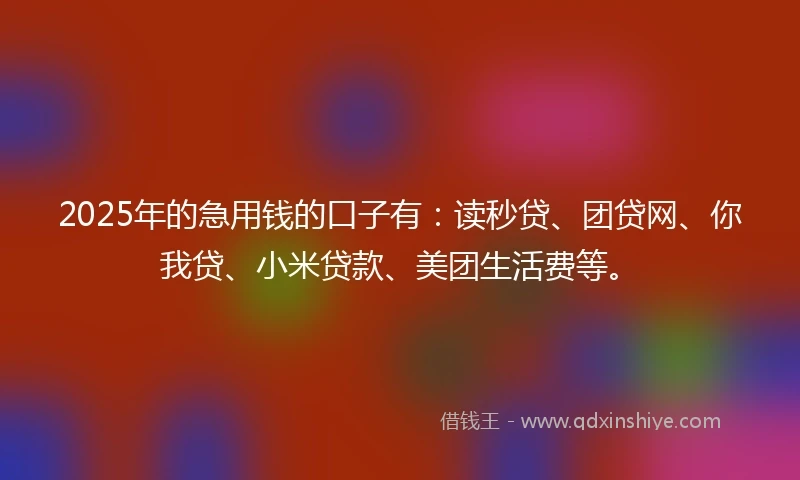 2025年的急用钱的口子有：读秒贷、团贷网、你我贷、小米贷款、美团生活费等。