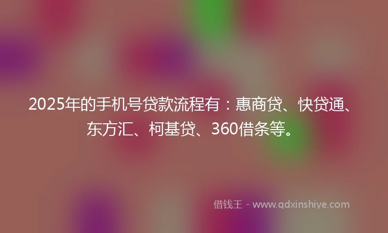2025年的手机号贷款流程有：惠商贷、快贷通、东方汇、柯基贷、360借条等。