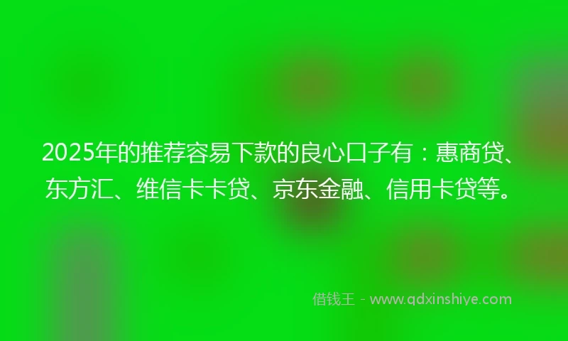 2025年的推荐容易下款的良心口子有：惠商贷、东方汇、维信卡卡贷、京东金融、信用卡贷等。
