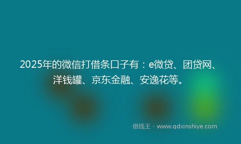 2025年的微信打借条口子有：e微贷、团贷网、洋钱罐、京东金融、安逸花等。