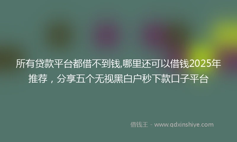 所有贷款平台都借不到钱,哪里还可以借钱2025年推荐，分享五个无视黑白户秒下款口子平台