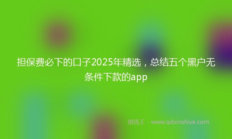 担保费必下的口子2025年精选，总结五个黑户无条件下款的app