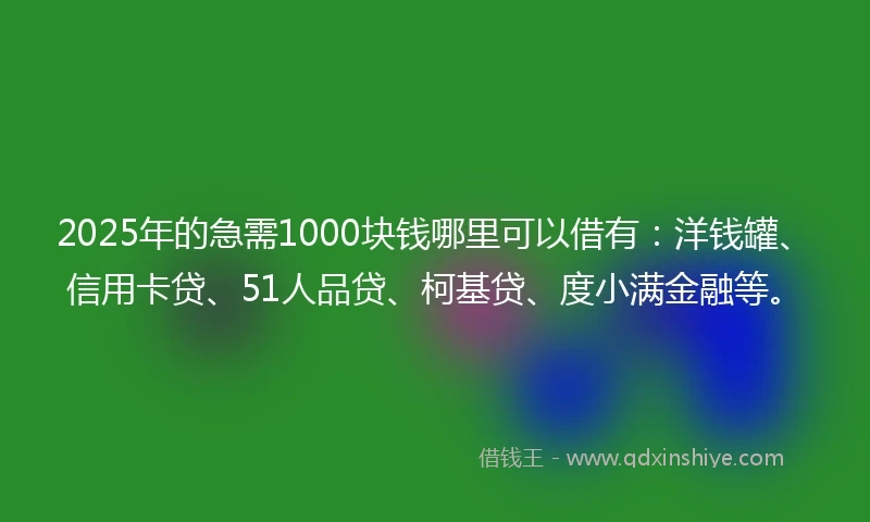 2025年的急需1000块钱哪里可以借有：洋钱罐、信用卡贷、51人品贷、柯基贷、度小满金融等。