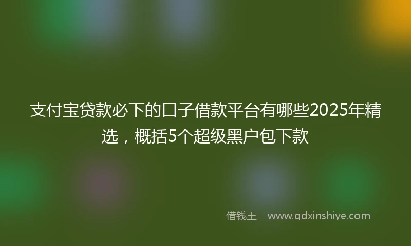 支付宝贷款必下的口子借款平台有哪些2025年精选，概括5个超级黑户包下款