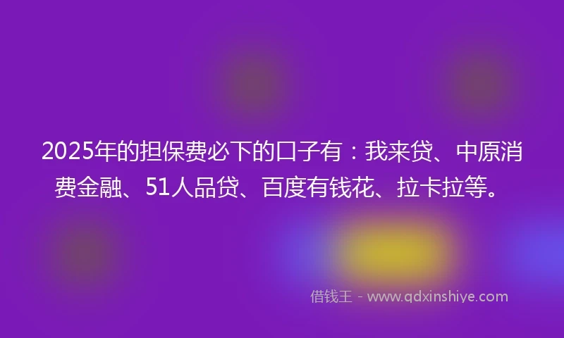 2025年的担保费必下的口子有：我来贷、中原消费金融、51人品贷、百度有钱花、拉卡拉等。