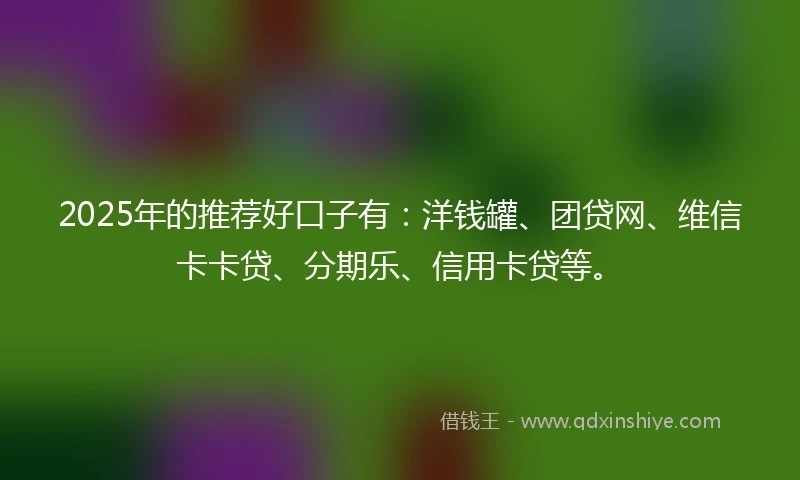 2025年的推荐好口子有：洋钱罐、团贷网、维信卡卡贷、分期乐、信用卡贷等。