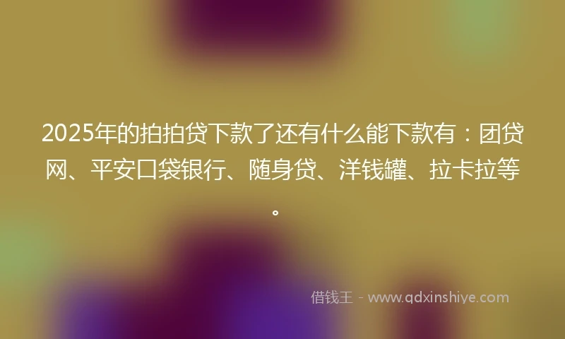 2025年的拍拍贷下款了还有什么能下款有：团贷网、平安口袋银行、随身贷、洋钱罐、拉卡拉等。