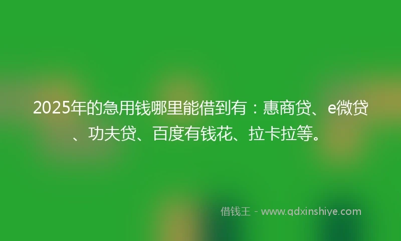 2025年的急用钱哪里能借到有：惠商贷、e微贷、功夫贷、百度有钱花、拉卡拉等。