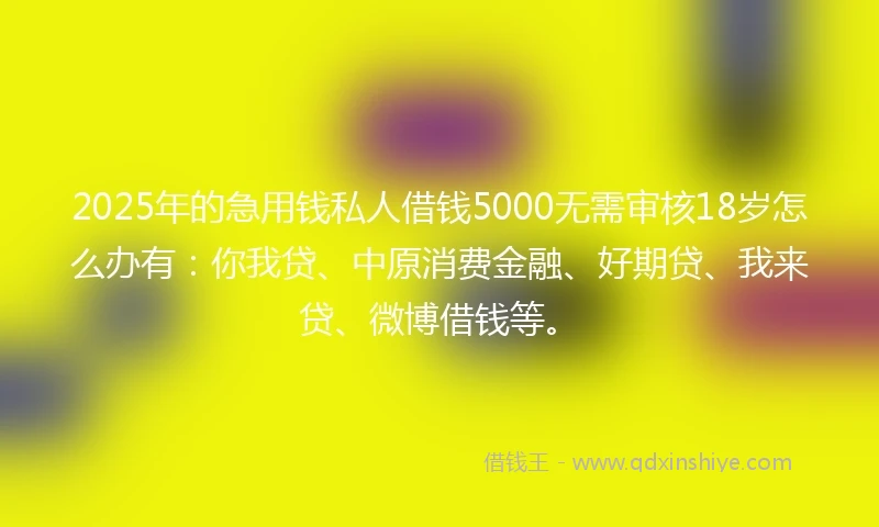 2025年的急用钱私人借钱5000无需审核18岁怎么办有：你我贷、中原消费金融、好期贷、我来贷、微博借钱等。