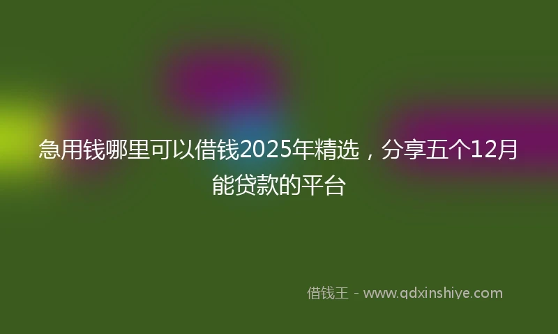 急用钱哪里可以借钱2025年精选，分享五个12月能贷款的平台
